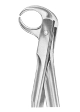 Fig.  86C lower molars